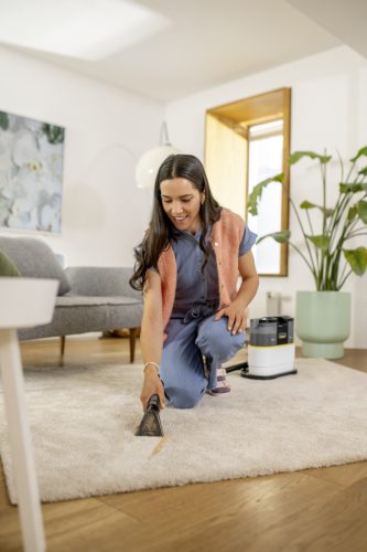 SE 2 Spot szőnyeg és kárpittisztító