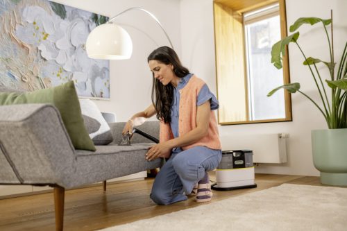 SE 2 Spot szőnyeg és kárpittisztító