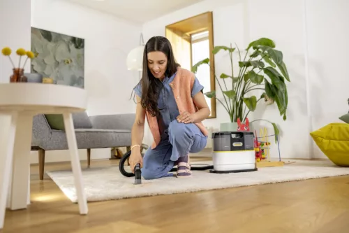 SE 2 Spot Care szőnyeg és kárpittisztító