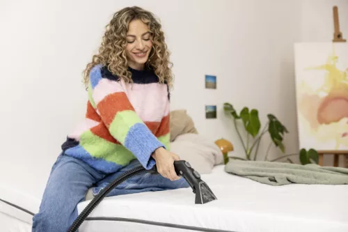 SE 3 Compact Home Shoe N1 szőnyeg és kárpittisztító