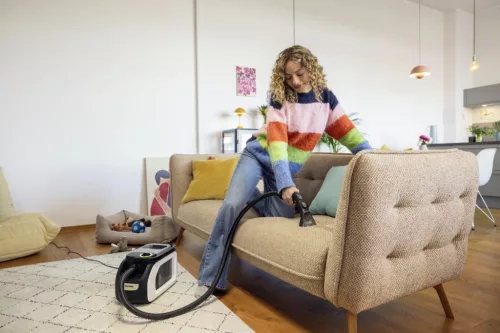 SE 3 Compact Home Shoe N1 szőnyeg és kárpittisztító