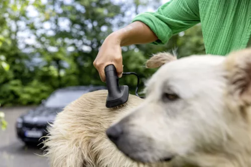 OC 4 + Pet Kit- mobil kültéri tisztító