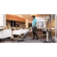 Upright kefés porszívók